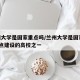 兰州大学是国家重点吗/兰州大学是国家___重点建设的高校之一